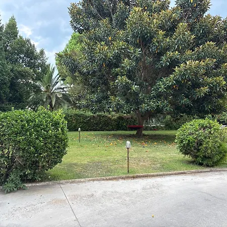 Ammoessa House דירה *